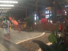 -南宫温泉水世界