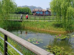 -苏州太湖湖滨国家湿地公园