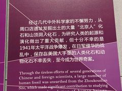 -北京周口店北京人遗址博物馆
