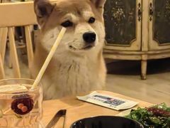 -柴の食堂·日式家庭料理·熊之肆(大学路店)