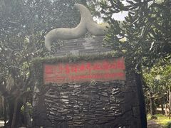 -海口火山口国家地质公园