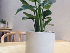 -禾康家蛋糕店