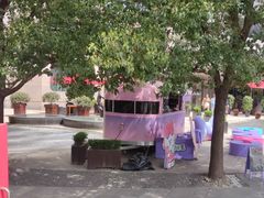 -BUS TOUR观光巴士