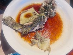 -顺鹅季·非遗烧鹅(六道口店)