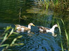 -永定河休闲森林公园