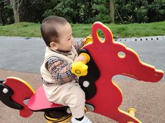 -枫香湖儿童公园