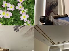 -手爱盲人推拿按摩·精准调理(江宁金山路店)
