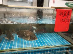 -洲晓鱻舟山海鲜(2号店)