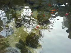 -泉乐坊步行街(烟酒特产平价超市店)