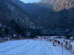 -秦岭终南山世界地质公园翠华山景区
