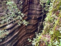 -梭布垭石林景区