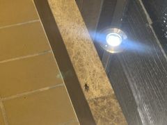 -上海凯宾斯基大酒店