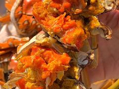 -七的湖·晚芳亭·阳澄湖农家菜·大闸蟹(莲花岛店)