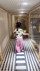 -奈尔宝·儿童乐园·亲子餐厅(苏州大悦城店)