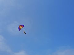 -春花秋色城市公园