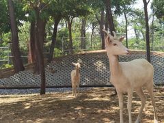 -秦皇岛野生动物园