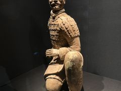 -陕西历史博物馆