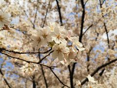 -白塘生态植物园