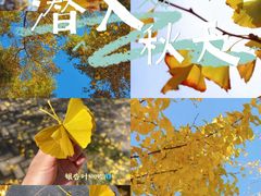 -桂林古东瀑布景区