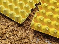 -沙湾姜埋奶(兴新包店)