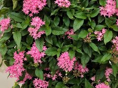 -苏州河梦清园环保主题公园