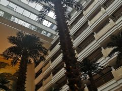 -百香自助餐厅·西安唐隆国际酒店(曲江店)