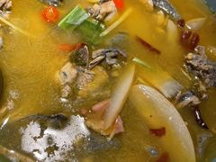 -滇铺子·云南特色菜·第九届野生菌美食节(曲靖万达店)
