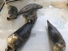 -华夏文旅海洋公园