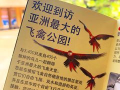 景点-新加坡飞禽公园