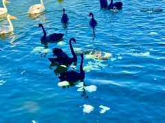 -水上乐园·欢乐世界