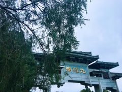 -九鲤湖风景区