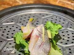 黄翅鱼-船奇蒸汽海鲜·闽菜(八市海鲜总店)