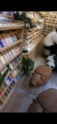 点击看大图 -今日陶艺(富力广场店)