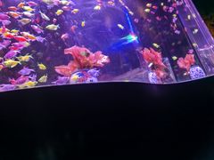 -南昌融创海世界