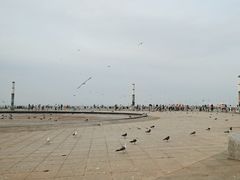 -东港音乐喷泉广场