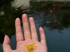 -宁波市保国寺古建筑博物馆