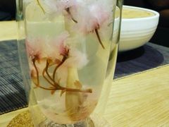 -柴务处·柴犬主题狗咖