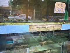 -真浪大家乐海鲜餐馆