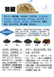 -慈蕊美容养生·专业经络调理