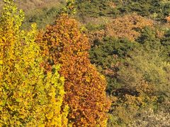 -北京十三陵国家森林公园蟒山景区