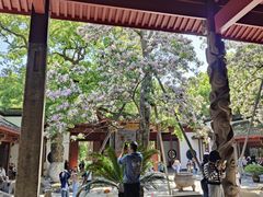 -吴山景区