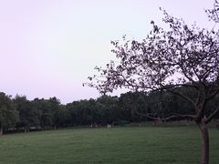 -大蜀山国家森林公园