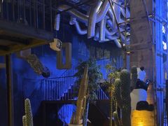 -夜的第七章·演艺自助餐厅