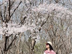 -江苏三台山国家森林公园