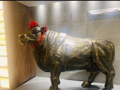 -秦宝雪花牛肉养生火锅(大兴九臻店)