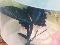 -碓臼峪自然风景区