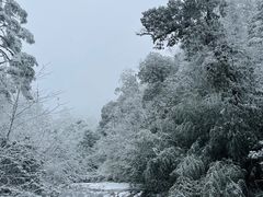 -龙苍沟森林公园