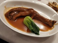 -老洋房花园饭店(绍兴路店)