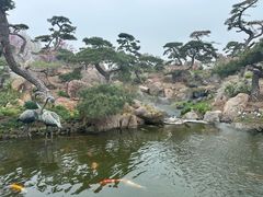 -罗红摄影艺术馆