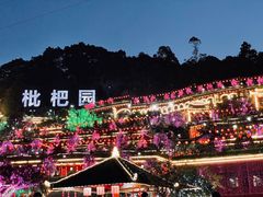-枇杷园食为鲜火锅(南山店)